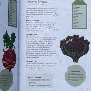 Sprouting Broccoli Book