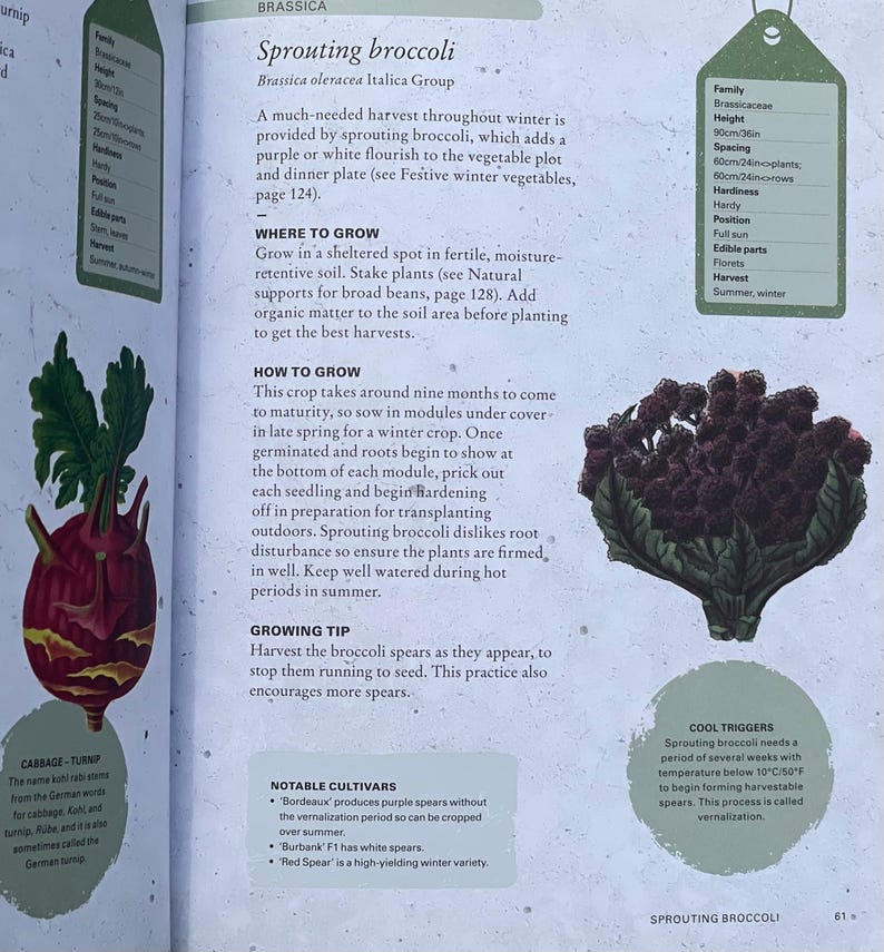 Sprouting Broccoli Book