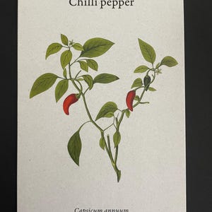 Cooking Gift Idea