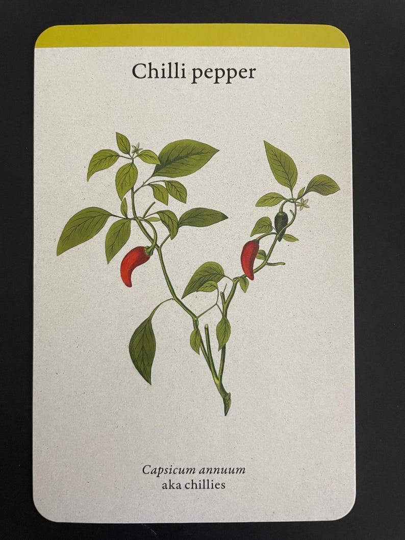 Cooking Gift Idea