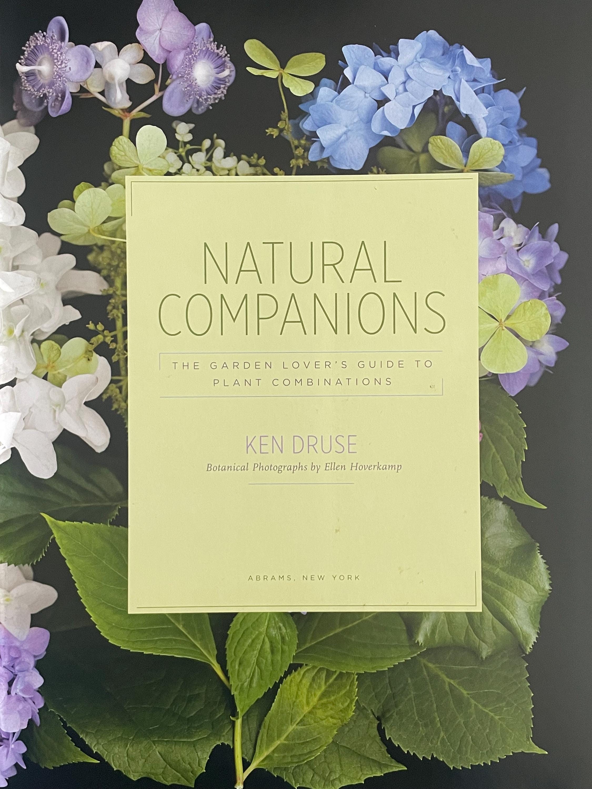 Ornamental Plant Gardening Design Natural Garden Companions Botanical ...