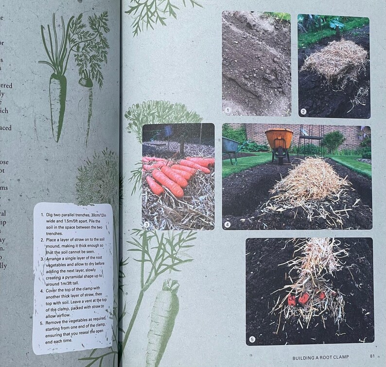 Building a Root Camp Book How To Guide