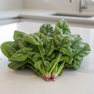 Gardener Gift Idea Fall Crop