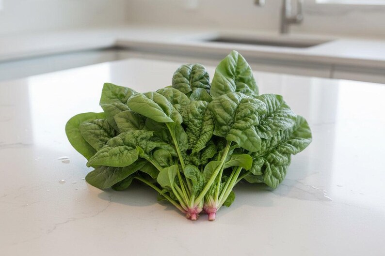 Gardener Gift Idea Fall Crop