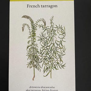 Herbal Cards Educational
