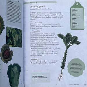 Brussel Sprouts Vegetable Book