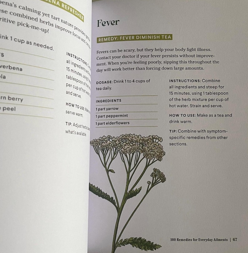 Fever Herbal Remedy with Elderflower Yarrow Herbs