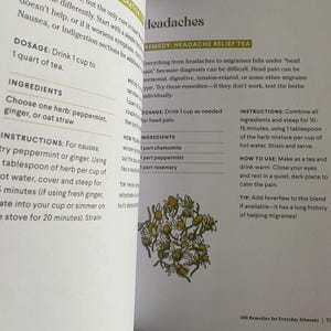Holistic headache solutions with Chamomile Peppermint and Rosemary