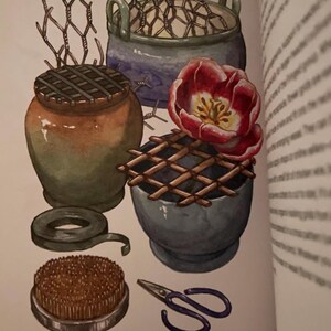 Tulip care