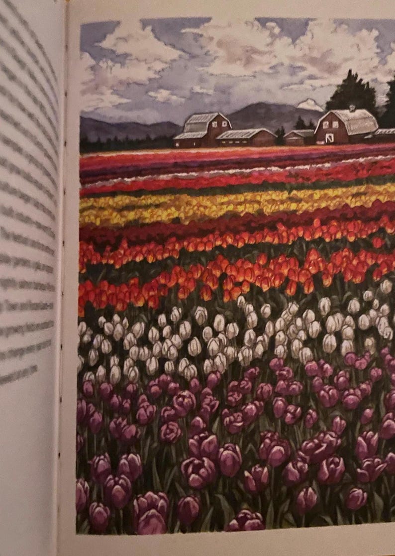 Dutch Tulip Photo