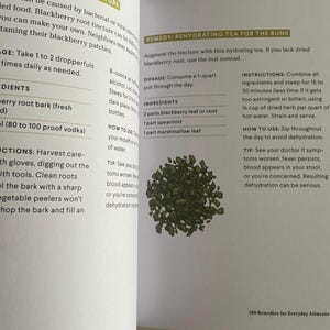 Herbal Tea for Diarrhea with Blackberry Leaf
