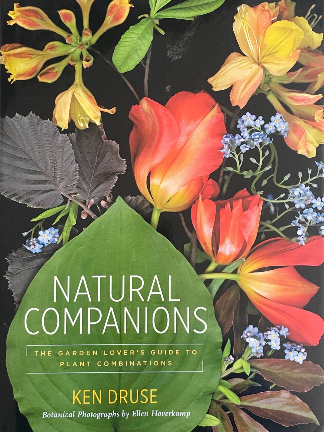 Ornamental Plant Gardening Design Natural Garden Companions Botanical ...