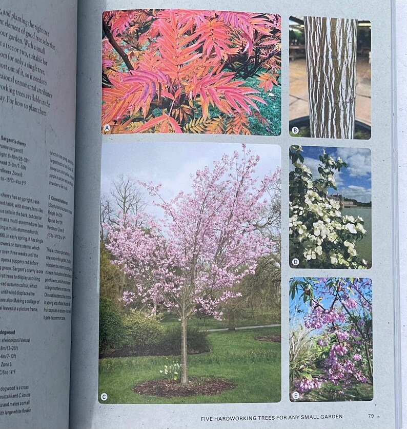 Kew Gardener Guide to Growing Trees Hardcover Book Art Garden Science ...
