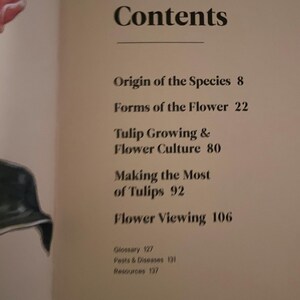 Tulip Growing & Flower Culture
