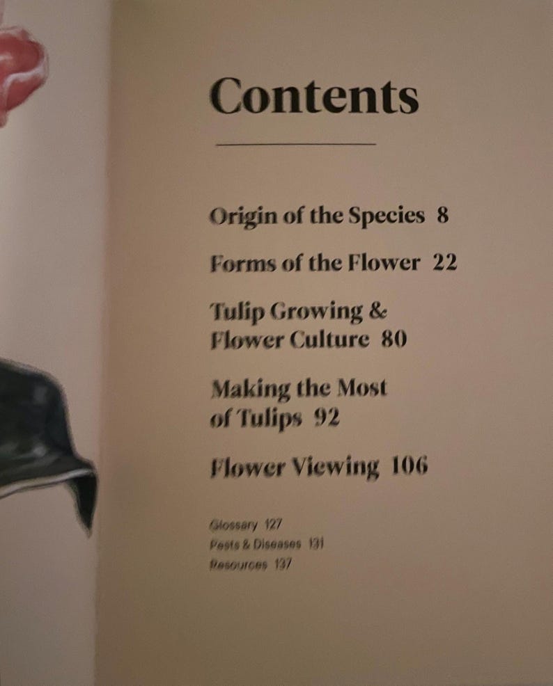 Tulip Growing & Flower Culture