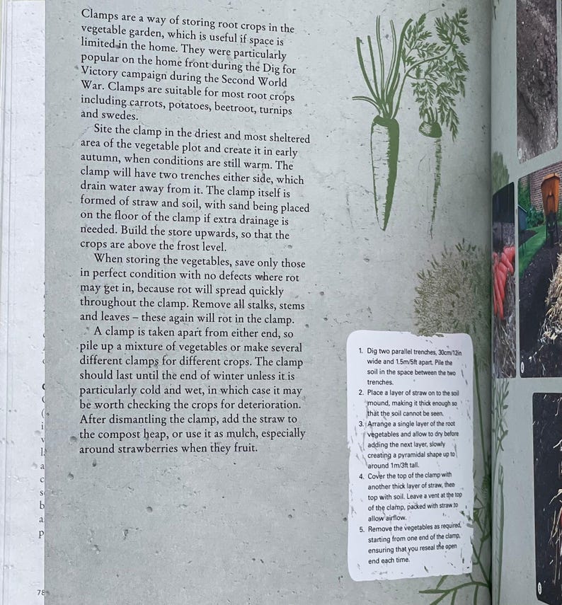 Botany Vegetables Hardcover Book Vegetable Gardening Gift Idea Easter