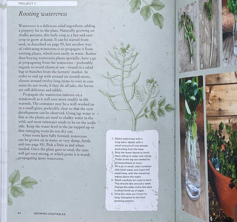 Rooting Watercress Book