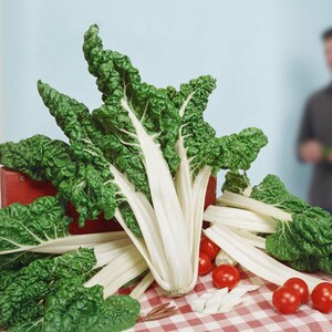 Swiss Chard Gardening Present Homegrown