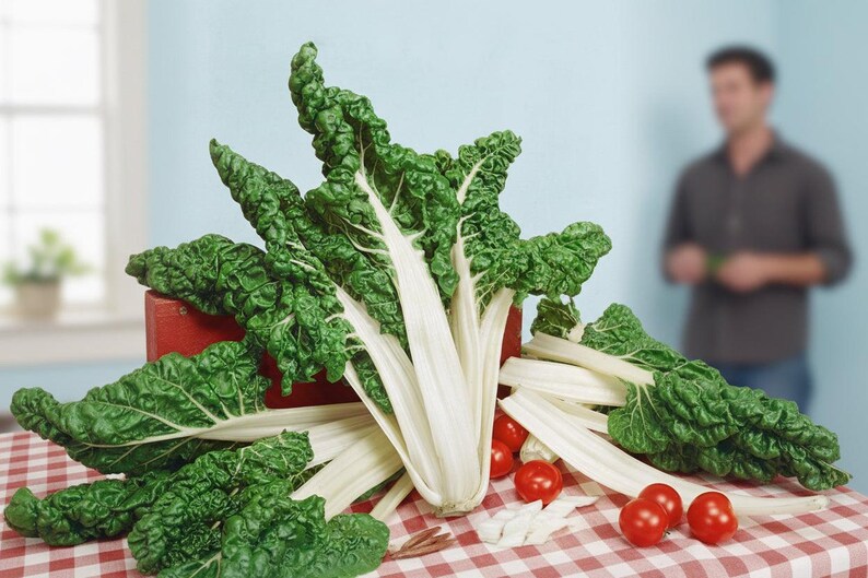 Swiss Chard Gardening Present Homegrown