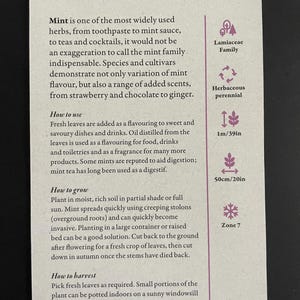 Peut inclure: Carte rectangulaire &agrave; bordure violette avec des informations sur la menthe, ses utilisations, sa culture et sa r&eacute;colte. La carte indique des d&eacute;tails botaniques, avec une hauteur de 1 m&egrave;tre et une largeur de 50 cm.