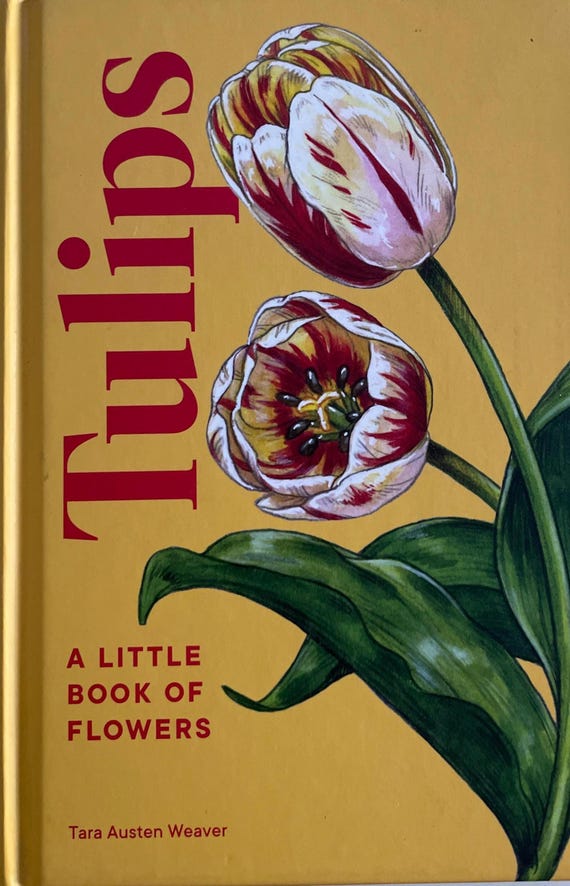 Tulip History Hardcover Book of Botanical Illustration Collection Gardening Tips for Planting Flowers Coffee Table Gift for Tulip Lover