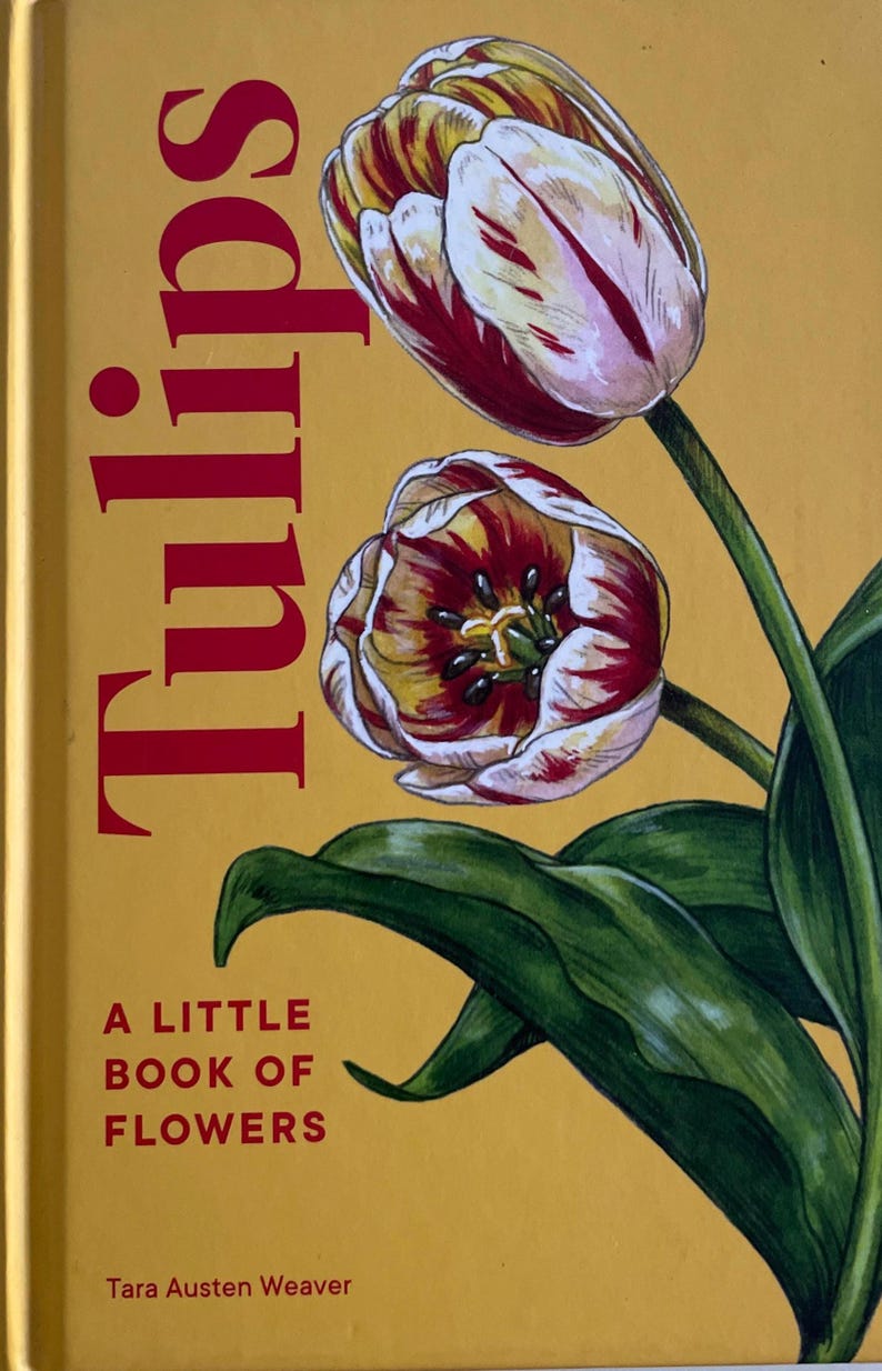 Tulip History Gift Hardcover Book