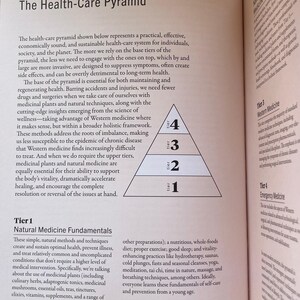 Health Care Pyramid