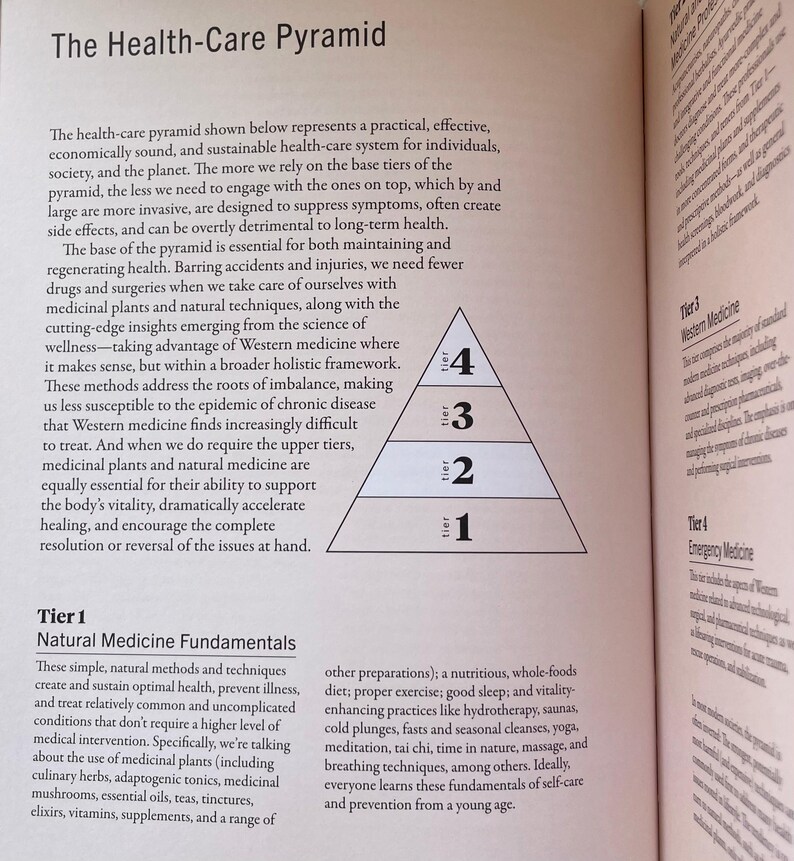 Health Care Pyramid