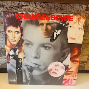 David Bowie 1990 Vinyl Double LP Changes Bowie Album