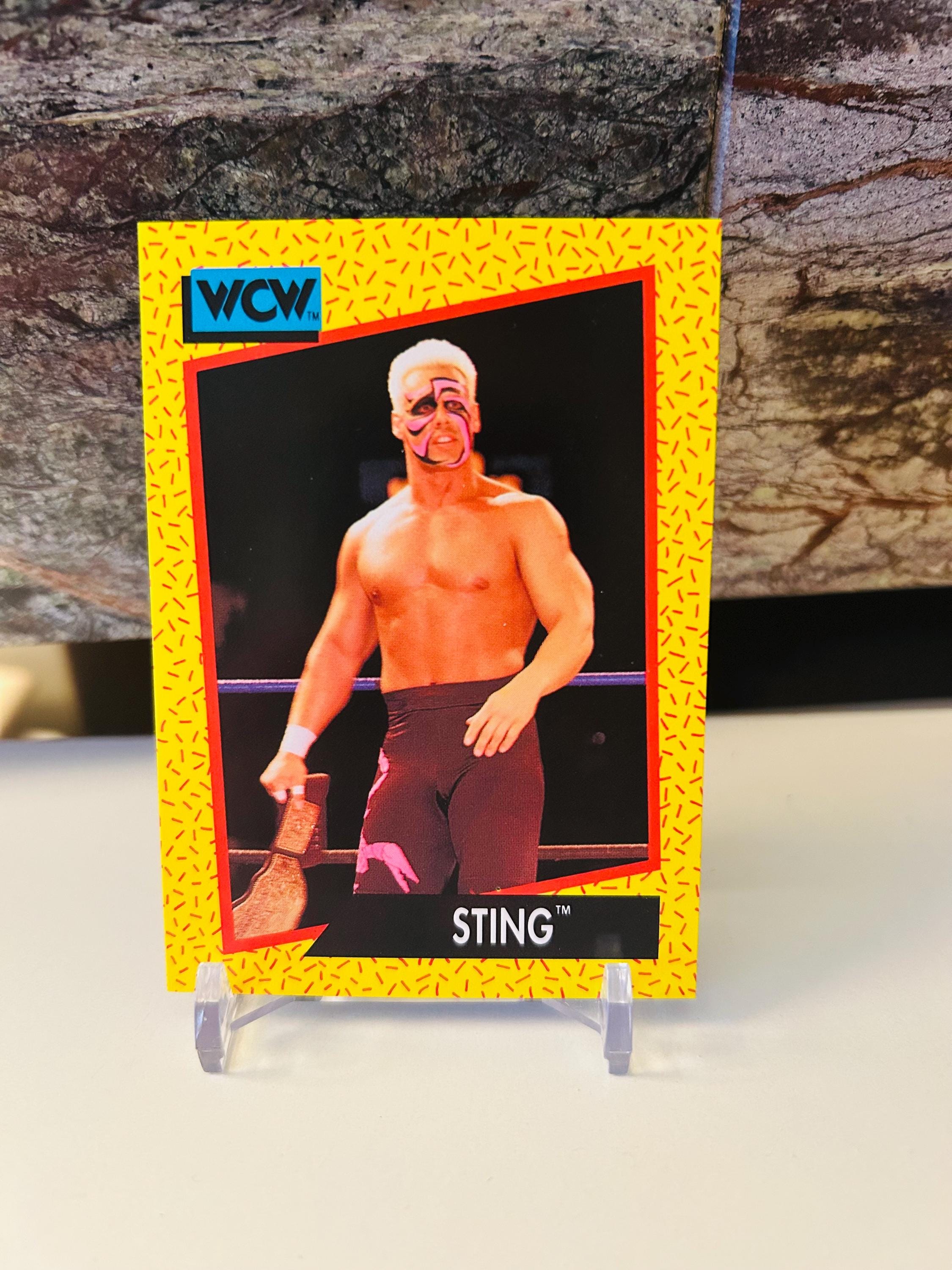 Sting Trading Card #2 WCW (1991) Wrestling - Etsy