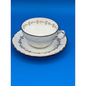 Pittoria Richard Ginori Firenze Cup and Saucer Fine Bone China