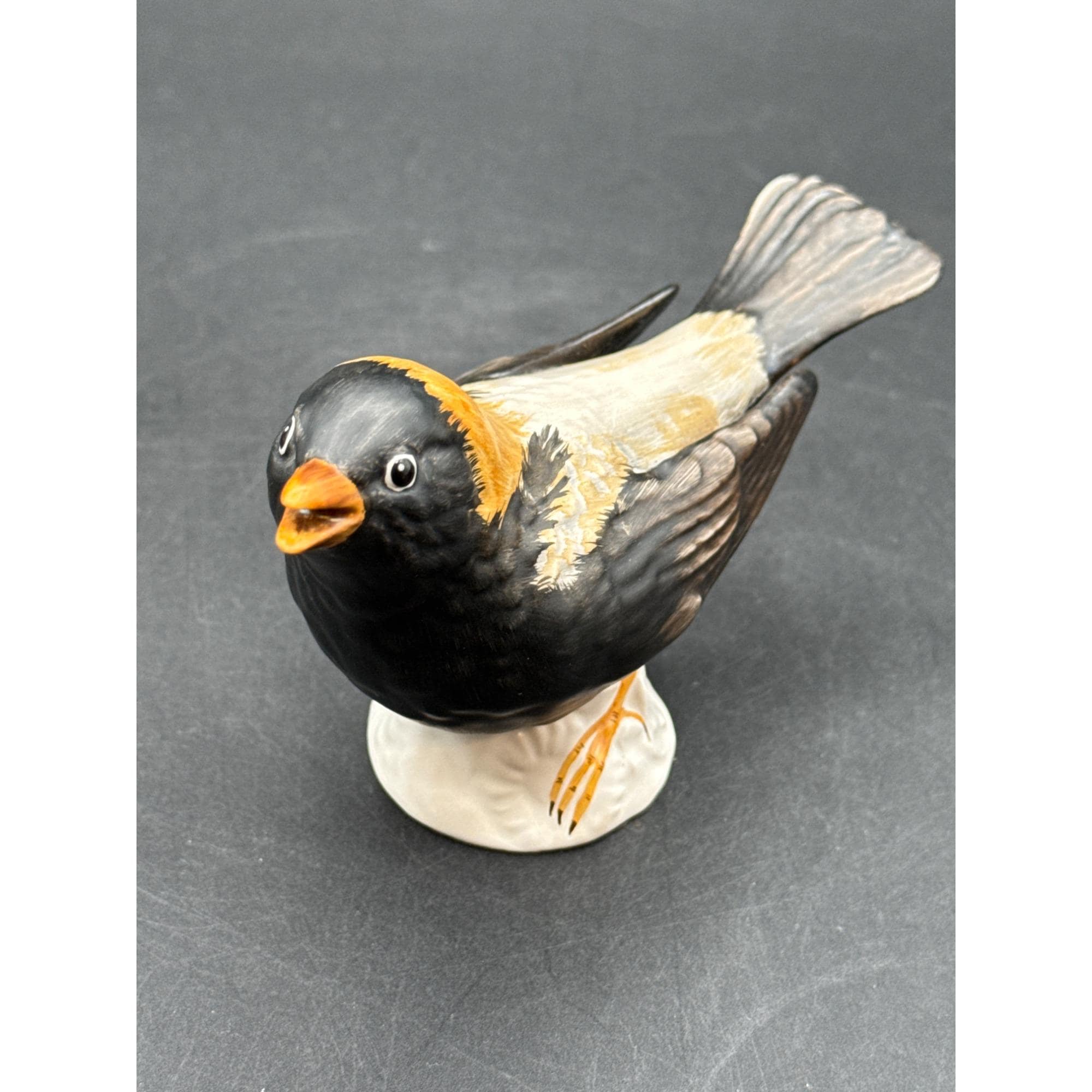 ゲーベル西ドイツ磁器鳥の置物5体セット 様々な種 手描き コレクターズ