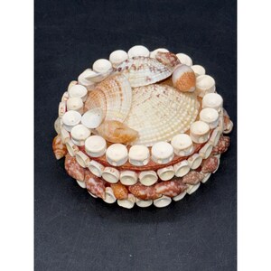 Schmuckschatulle mit Muschelmuster und rotem Samtfutter, 6,4 cm Durchmesser, 4 cm hoch, dekorative & funktionelle Andenken-Aufbewahrung