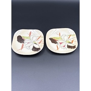 Puede incluir: Dos platos cuadrados de cerámica blanquecina con un diseño floral. Cada plato presenta una gran flor blanca con detalles marrones y rosas, y tallos naranjas y verdes. Los platos están sobre un fondo oscuro.