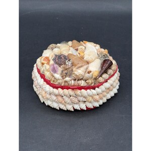May include: A round, lidded box covered in a variety of small, natural seashells in shades of white, tan, brown, and purple. The sides of the box are layered with rows of small white shells, and the lid features a cluster of assorted larger shells.