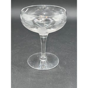 May include: A clear, stemmed champagne coupe glass with etched floral designs around the bowl. The glass has a wide, shallow bowl, a slender stem, and a circular base. The etched details add a touch of elegance to the glassware.