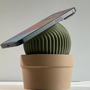 Cute Cactus Magsafe iPhone Charger - Spiky