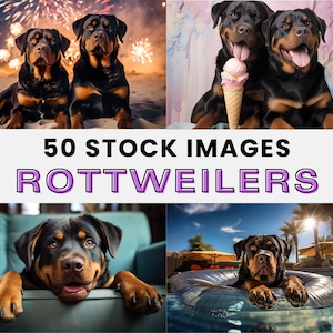 50 High-Quality Stock Images, Rottweilers, Ai Generated, Stock Photos, Digital Bundle, Product Images, Dogs, Photo Set, PNG