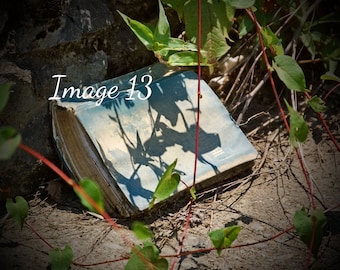 Abandoned Photography, Farmhouse Photography, Rustic Wall Art Decor, Urban Exploration Print, Landscape, Art Print, Abandoned Bible, Church