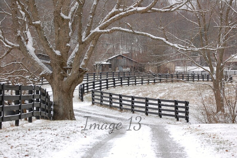 Kentucky Outdoor Photography, Landscape Photography, Snow Photography, Winter Print, Country Lane, Nature Photography, Kentucky Wall Art image 1