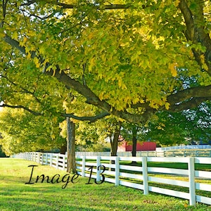 Kentucky Outdoor Photography Landscape Photography, Kentucky Landscape Art Print, Nature Photography, Landscape Art Print, Kentucky Wall Art
