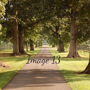 Landscape Photography, Kentucky Landscape Art Print, Foggy Country Lane, Nature Photography, Landscape Art Print, Kentucky Wall Art, Print