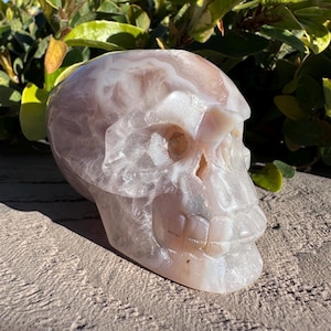 Puede incluir: Una escultura de calavera de &aacute;gata blanca y rosa. La calavera est&aacute; tallada con detalles intrincados, incluidos los dientes y las cuencas de los ojos. La &aacute;gata tiene un brillo natural iridiscente.