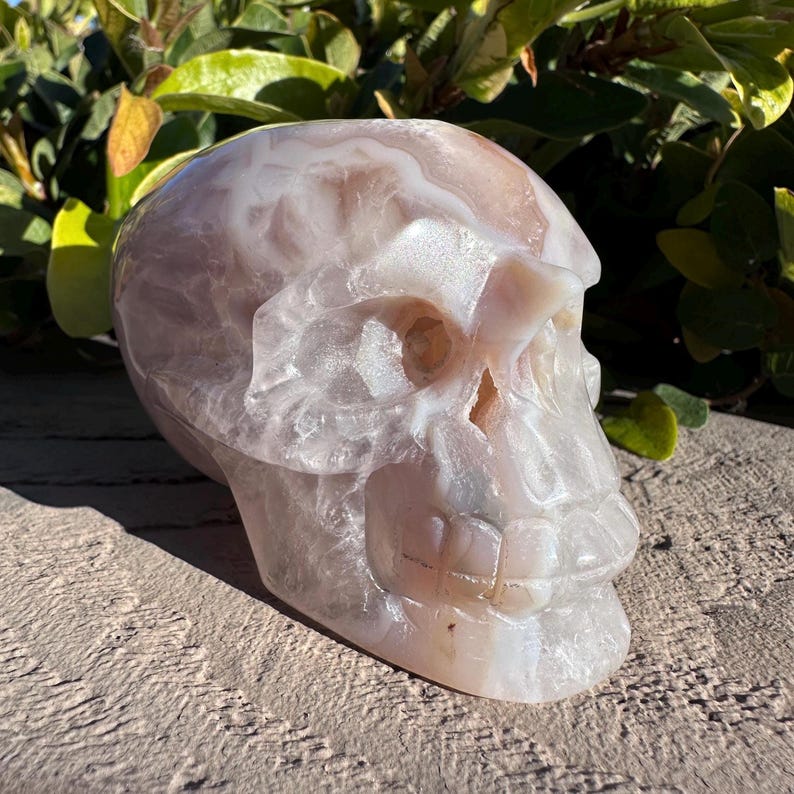 Puede incluir: Una escultura de calavera de &aacute;gata blanca y rosa. La calavera est&aacute; tallada con detalles intrincados, incluidos los dientes y las cuencas de los ojos. La &aacute;gata tiene un brillo natural iridiscente.