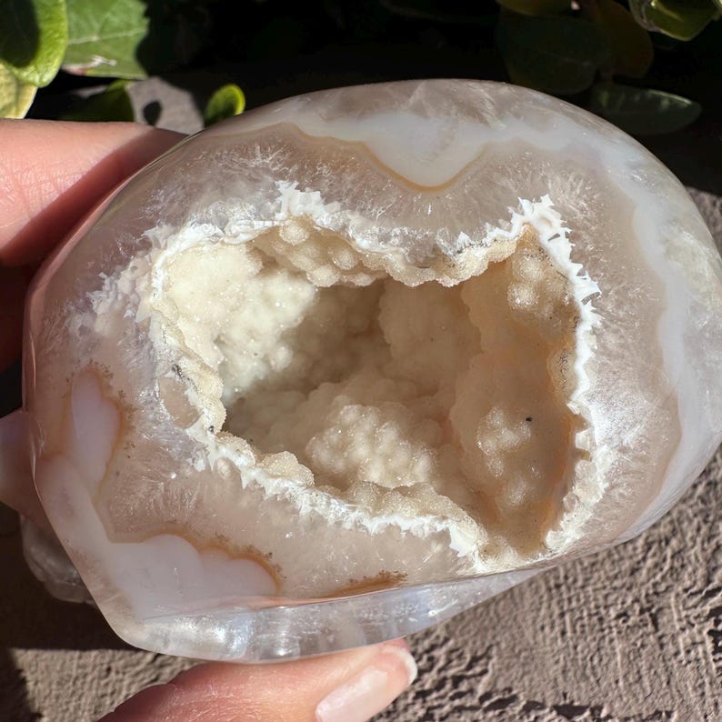 Puede incluir: Cr&aacute;neo de &aacute;gata blanca con una gran cavidad abierta revestida de cristales. La &aacute;gata es transl&uacute;cida con bandas blancas y marrones.