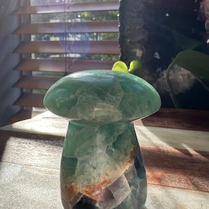 Mexican Fluorite Mushroom/ Rainbow Fluorite/ Mushy