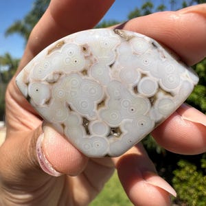 8th Vein Ocean Jasper Cabochon: Rare Orbicular Collector&#39;s Piece