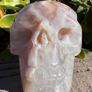 Puede incluir: Una escultura de calavera de &aacute;gata blanca y rosa. La calavera est&aacute; tallada con detalles precisos, incluyendo cuencas de los ojos, una nariz y una boca.