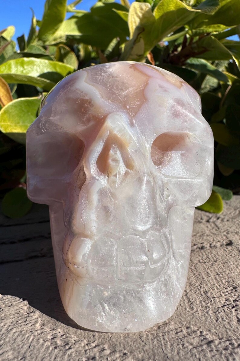 Puede incluir: Una escultura de calavera de &aacute;gata blanca y rosa. La calavera est&aacute; tallada con detalles precisos, incluyendo cuencas de los ojos, una nariz y una boca.