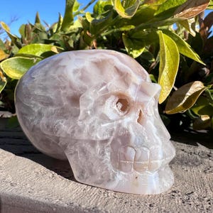 Puede incluir: Una escultura de calavera de &aacute;gata blanca con detalles intrincados. La calavera est&aacute; tallada en una piedra de &aacute;gata natural y presenta una apariencia transl&uacute;cida y nublada.